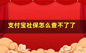 支付宝社保怎么查不了了