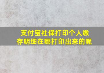 支付宝社保打印个人缴存明细在哪打印出来的呢