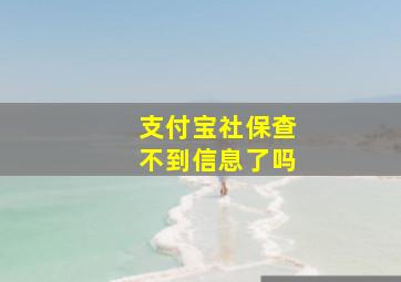 支付宝社保查不到信息了吗