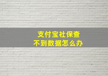 支付宝社保查不到数据怎么办