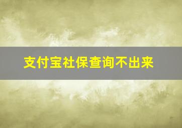 支付宝社保查询不出来