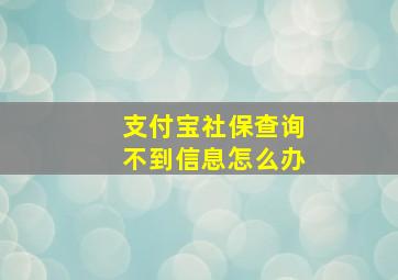 支付宝社保查询不到信息怎么办