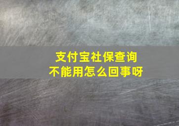 支付宝社保查询不能用怎么回事呀