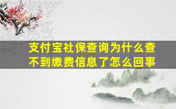 支付宝社保查询为什么查不到缴费信息了怎么回事