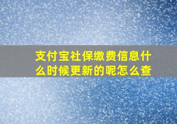 支付宝社保缴费信息什么时候更新的呢怎么查