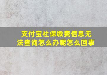 支付宝社保缴费信息无法查询怎么办呢怎么回事