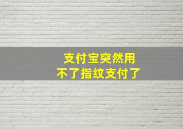 支付宝突然用不了指纹支付了