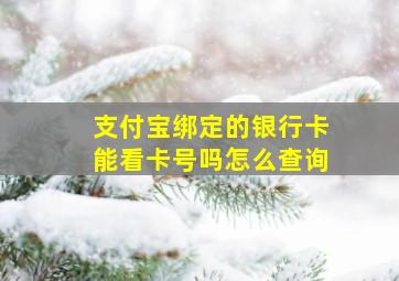 支付宝绑定的银行卡能看卡号吗怎么查询