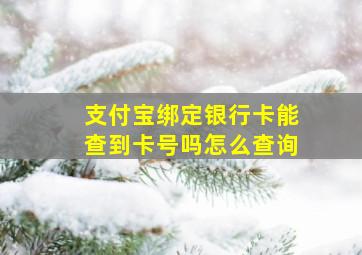 支付宝绑定银行卡能查到卡号吗怎么查询