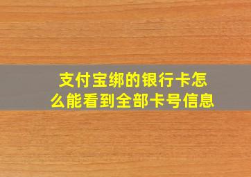 支付宝绑的银行卡怎么能看到全部卡号信息