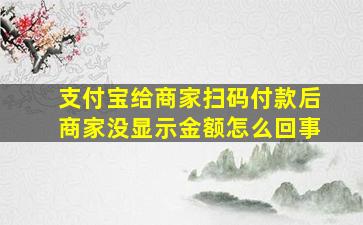 支付宝给商家扫码付款后商家没显示金额怎么回事