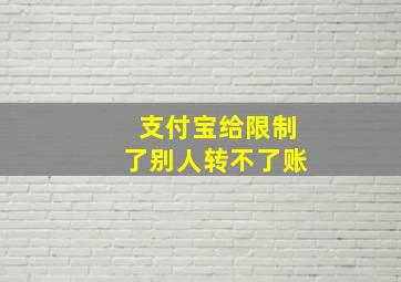 支付宝给限制了别人转不了账