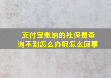 支付宝缴纳的社保费查询不到怎么办呢怎么回事