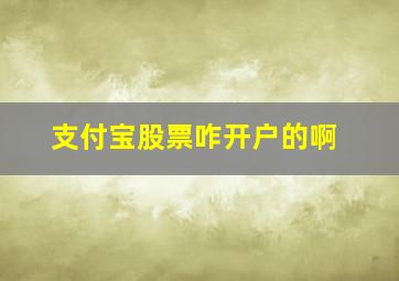 支付宝股票咋开户的啊