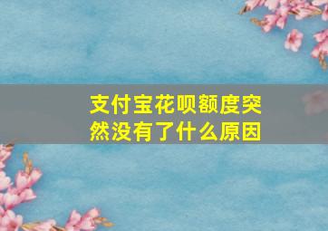 支付宝花呗额度突然没有了什么原因