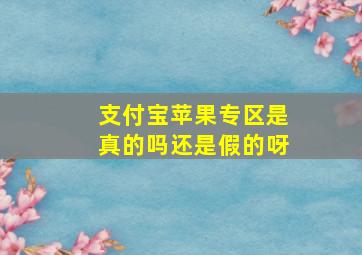 支付宝苹果专区是真的吗还是假的呀