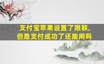 支付宝苹果设置了限额,但是支付成功了还能用吗