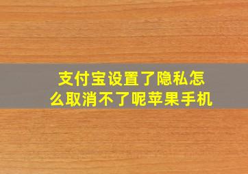 支付宝设置了隐私怎么取消不了呢苹果手机