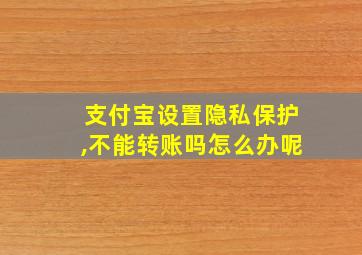 支付宝设置隐私保护,不能转账吗怎么办呢