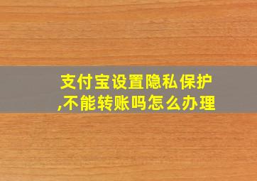 支付宝设置隐私保护,不能转账吗怎么办理