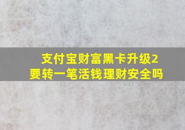 支付宝财富黑卡升级2要转一笔活钱理财安全吗