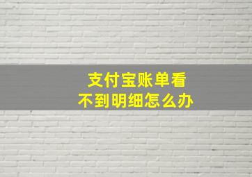 支付宝账单看不到明细怎么办