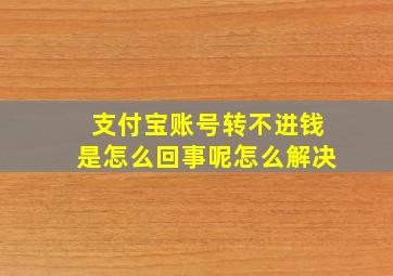 支付宝账号转不进钱是怎么回事呢怎么解决