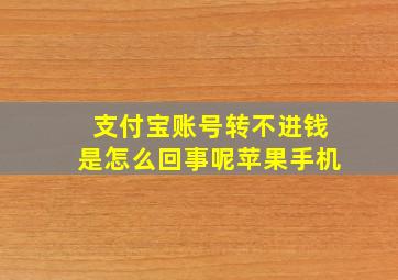 支付宝账号转不进钱是怎么回事呢苹果手机