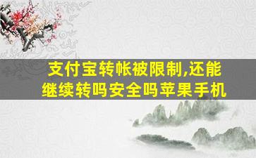 支付宝转帐被限制,还能继续转吗安全吗苹果手机