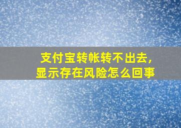 支付宝转帐转不出去,显示存在风险怎么回事