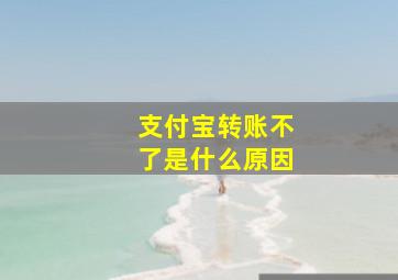 支付宝转账不了是什么原因