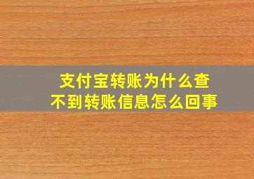 支付宝转账为什么查不到转账信息怎么回事