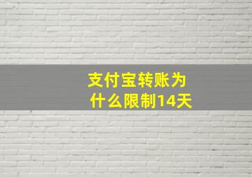 支付宝转账为什么限制14天