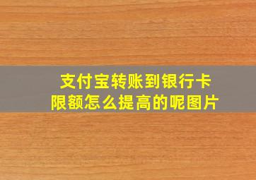 支付宝转账到银行卡限额怎么提高的呢图片