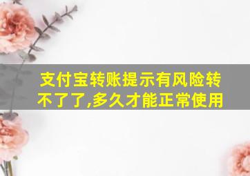 支付宝转账提示有风险转不了了,多久才能正常使用