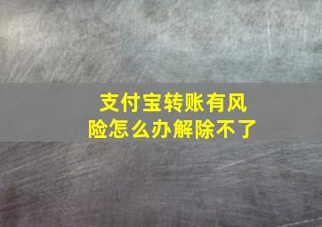 支付宝转账有风险怎么办解除不了