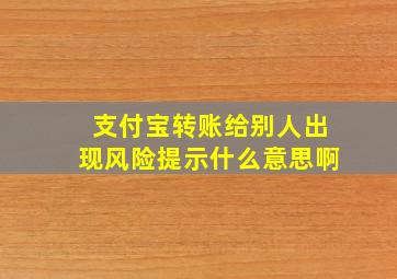 支付宝转账给别人出现风险提示什么意思啊