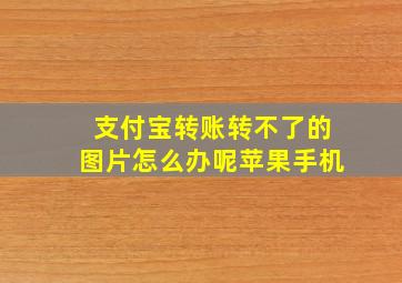 支付宝转账转不了的图片怎么办呢苹果手机