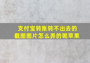 支付宝转账转不出去的截图图片怎么弄的呢苹果