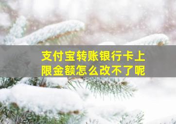 支付宝转账银行卡上限金额怎么改不了呢