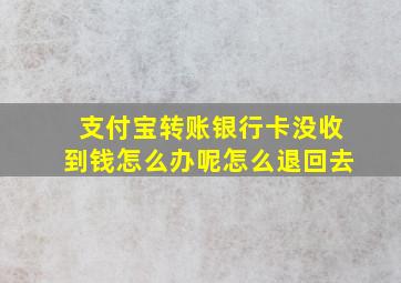 支付宝转账银行卡没收到钱怎么办呢怎么退回去