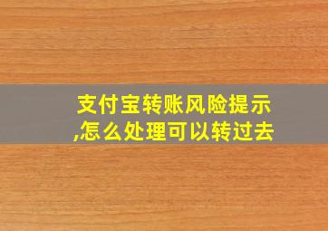 支付宝转账风险提示,怎么处理可以转过去