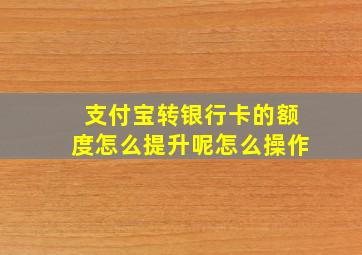 支付宝转银行卡的额度怎么提升呢怎么操作