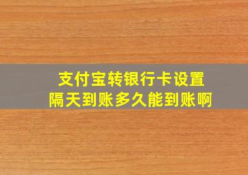 支付宝转银行卡设置隔天到账多久能到账啊