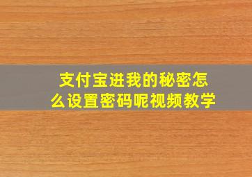 支付宝进我的秘密怎么设置密码呢视频教学