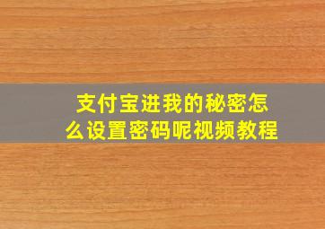 支付宝进我的秘密怎么设置密码呢视频教程