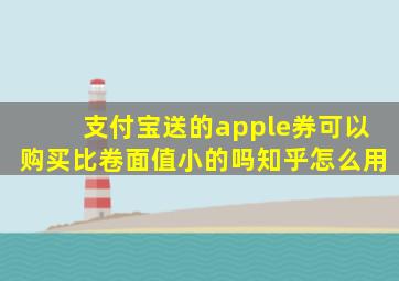 支付宝送的apple券可以购买比卷面值小的吗知乎怎么用