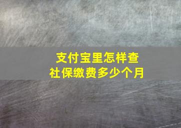 支付宝里怎样查社保缴费多少个月