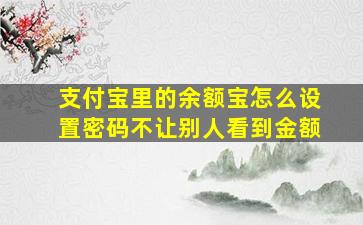 支付宝里的余额宝怎么设置密码不让别人看到金额