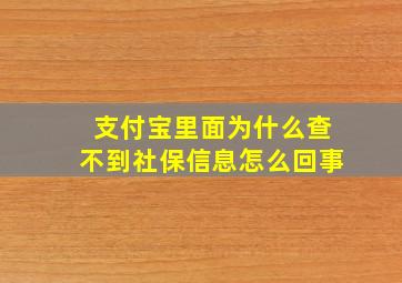 支付宝里面为什么查不到社保信息怎么回事